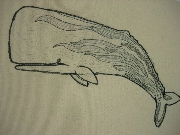 Кашалот карандашом