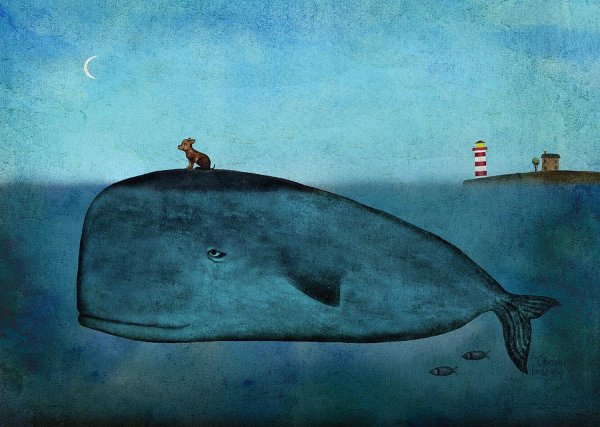 Киты и люди