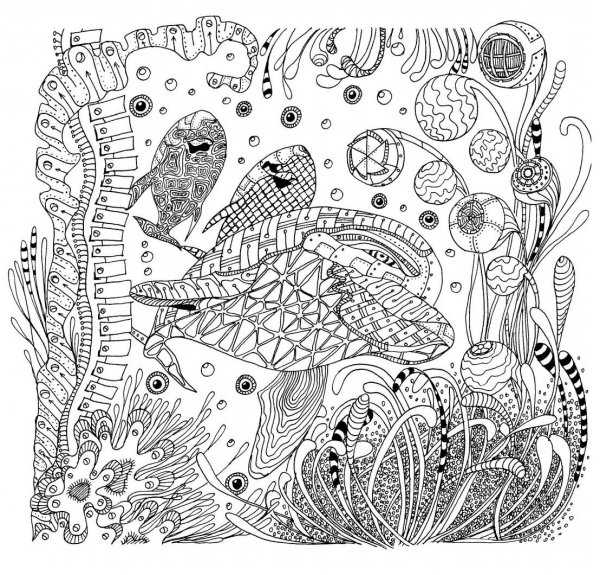 Зендудл цветы