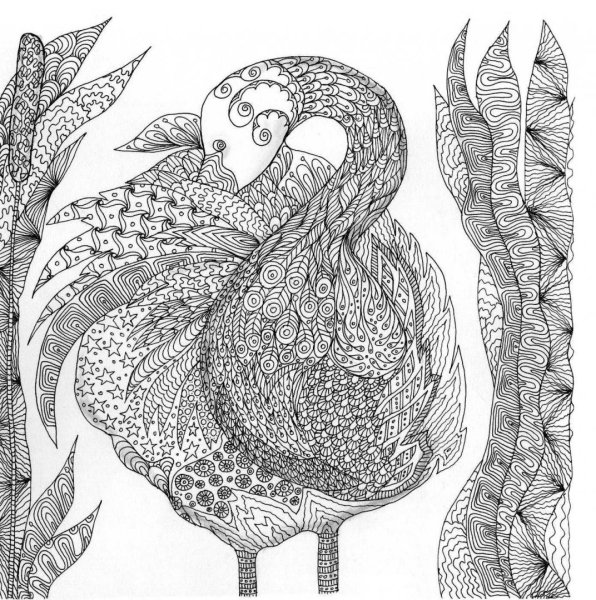 Магический круг пентаграмма