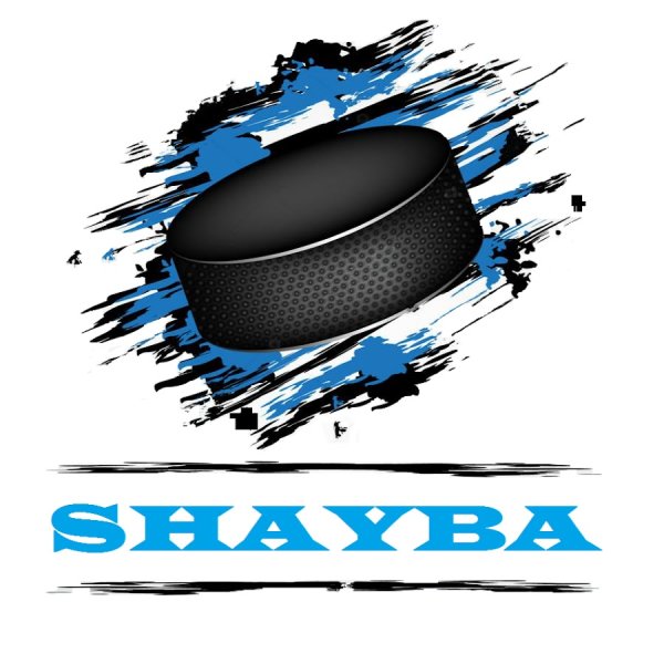 Хоккейная шайба на белом фоне