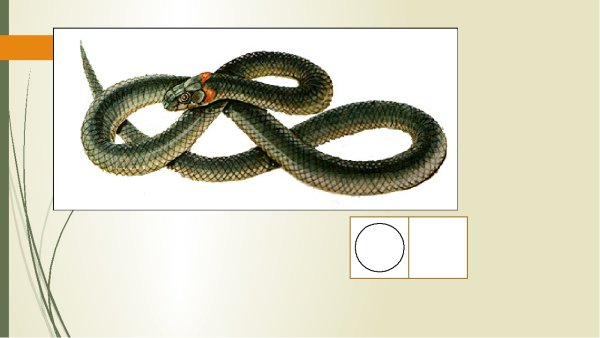 Уж для детей