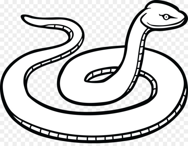 Раскраски змей