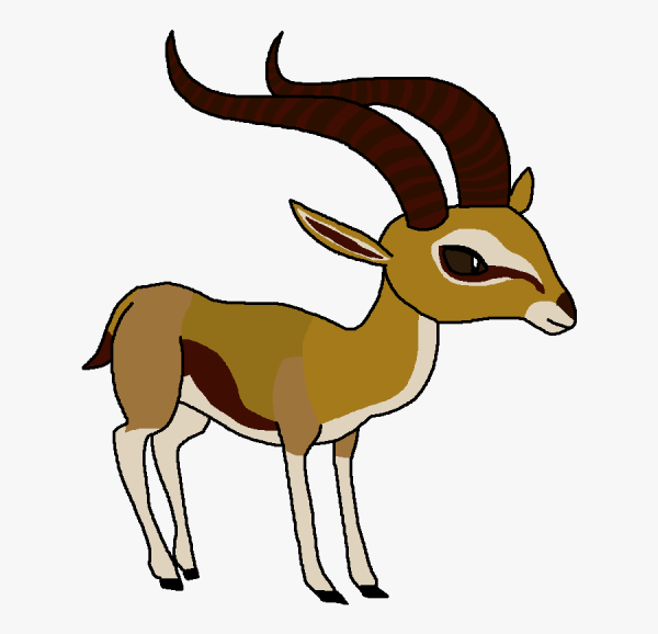 Antilope для детей