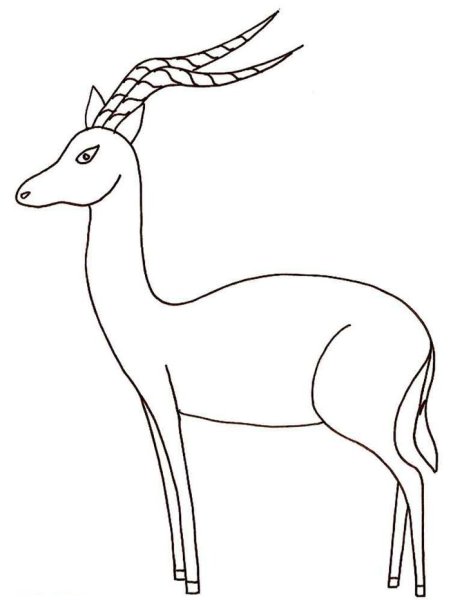 Антилопа раскраска