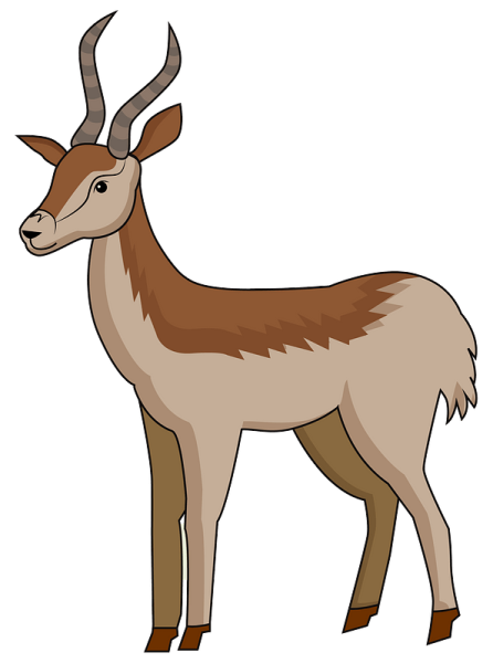 Антилопа для детей