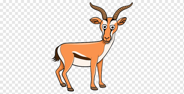 Газель животное вектор