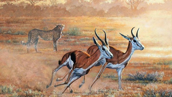 Сен Санс карнавал антилопы