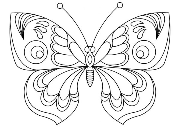 Раскраска "бабочки"