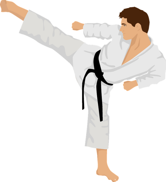 Каратист мультяшный