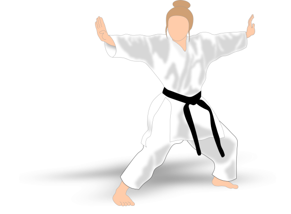 Каратист иллюстрация