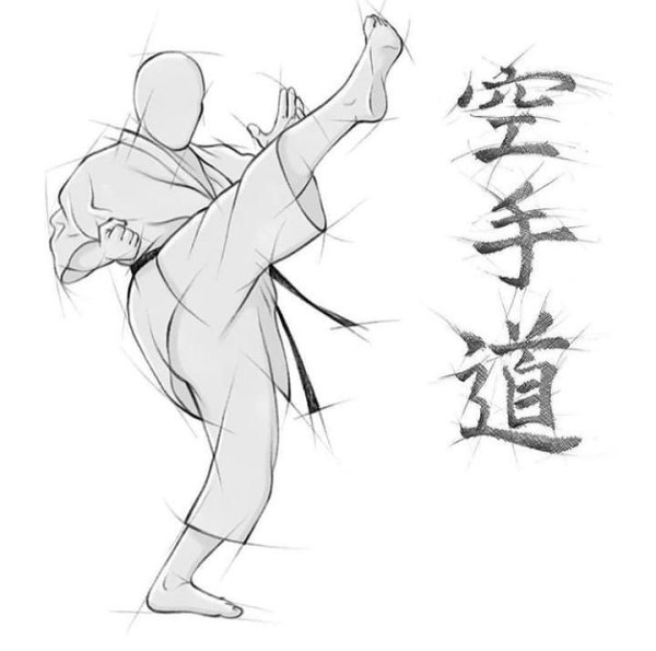 Каратэ сетокан стойки Боевая