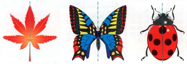 Симметричные предметы