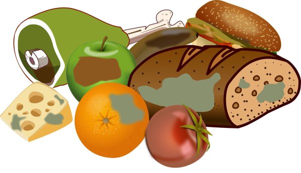 Иллюстрации продуктов