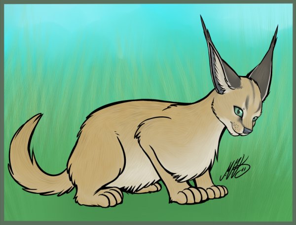 Каракал референс