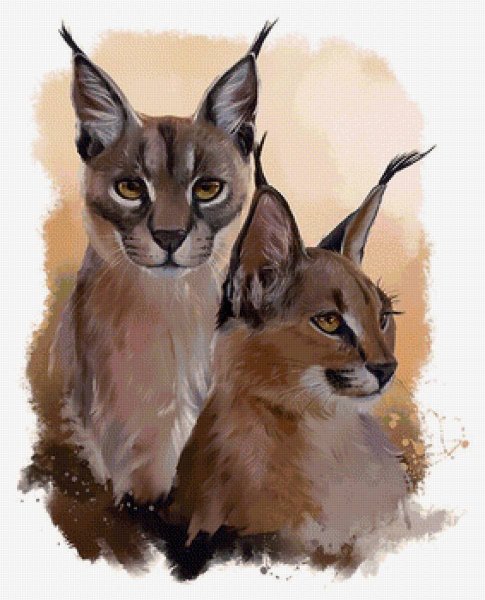 Коты Воители каракал