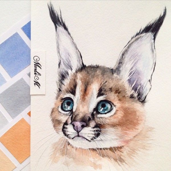 Каракал акварелью