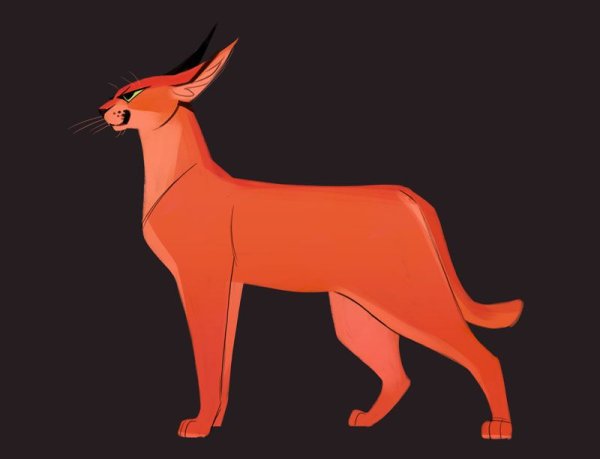 Каракал аниме