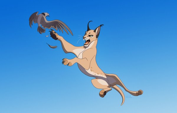 Каракал Шлепа арт