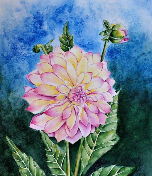 Георгин Шерон