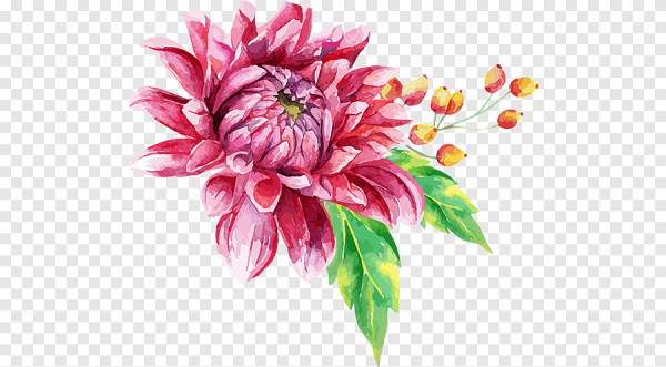 Георгины акварелью