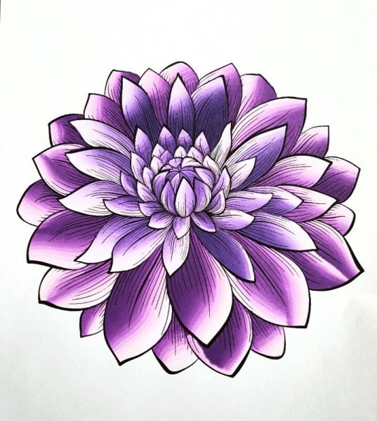 Эскизы тату цветы георгин