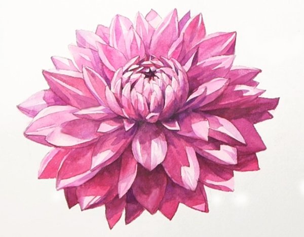 Георгин Шерон