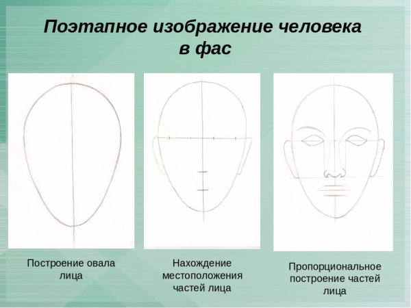 Последовательность рисования портрета для детей