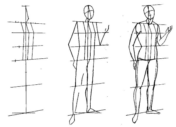 Этапы рисования фигуры человека