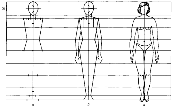 Изображение фигуры человека
