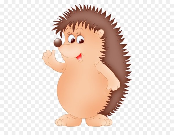 Ежик картинка для детей