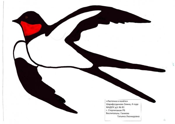Перелетные птицы Ласточка для детей