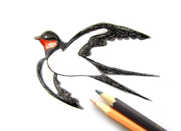 Рисование Ласточка