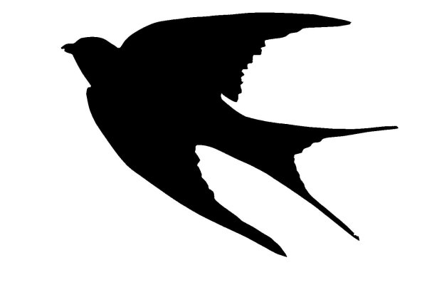 Черный силуэт птицы