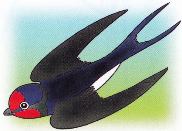 Ласточка для детей