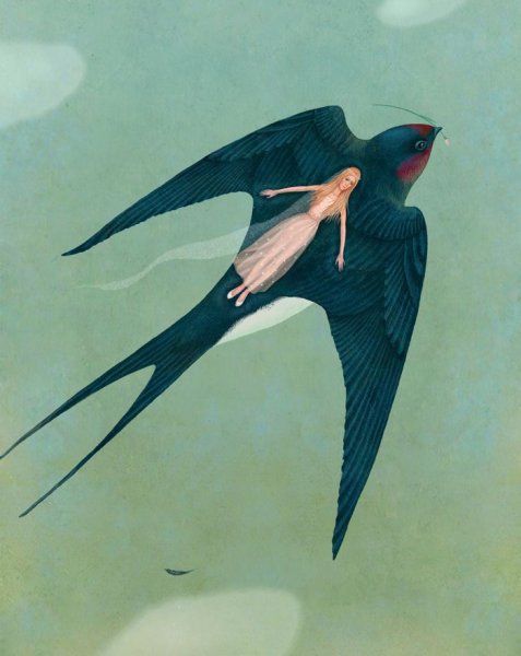 Галя Зинько иллюстрации Дюймовочка