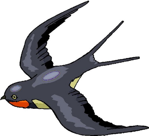 Ласточка иллюстрация