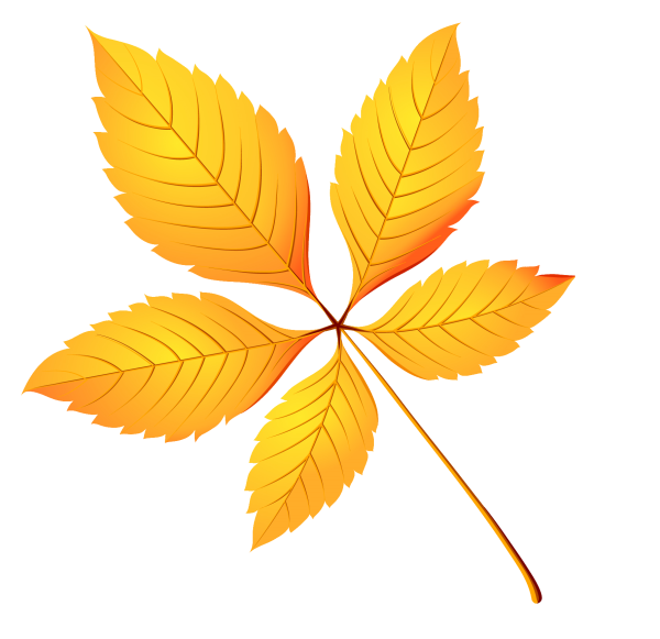 Лист каштана контур