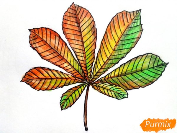 Осенний каштановый лист