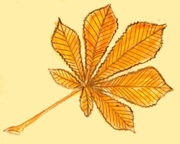 Лист каштан для вырезания