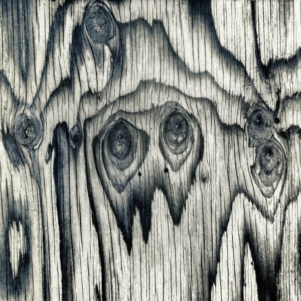 Фактура интересное дерево