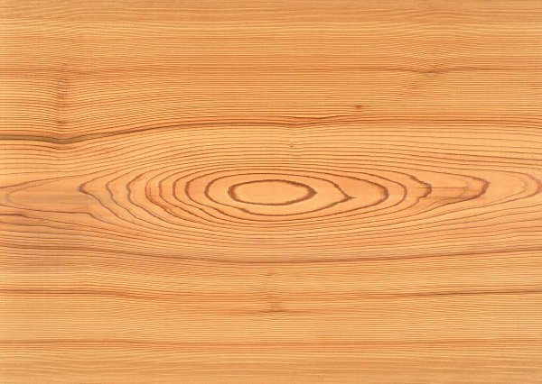 Дуб Арктический ламинат fp121