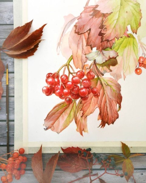 Тыква скетч акварелью