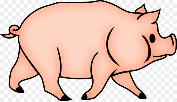 Поросенок рисунок