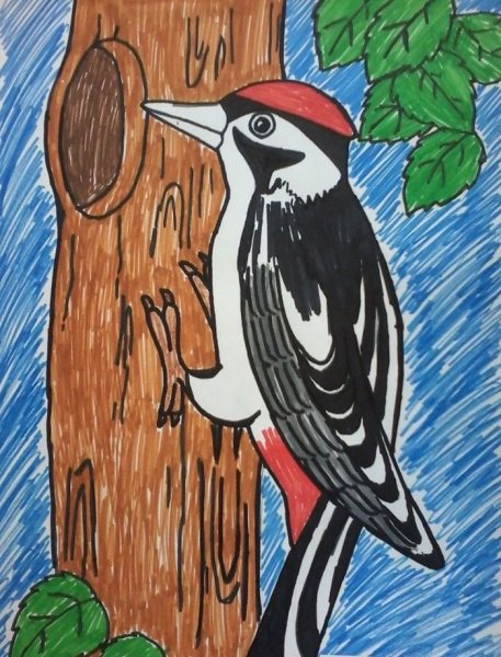 Дятел для детей