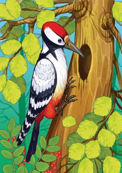 Рисование дятла