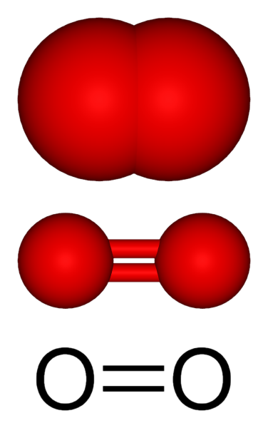 Модель молекулы кислорода