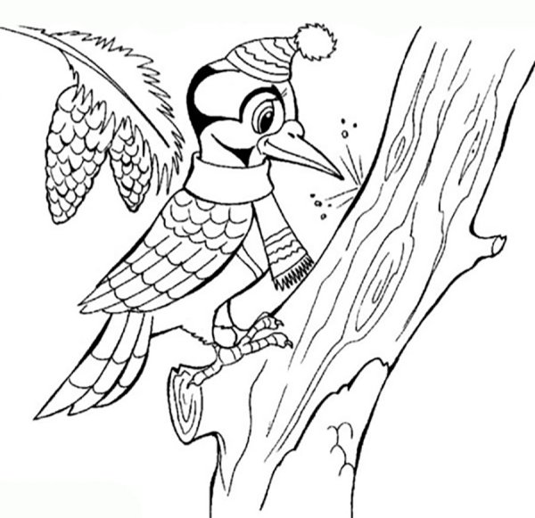 Пришвин Лесной доктор