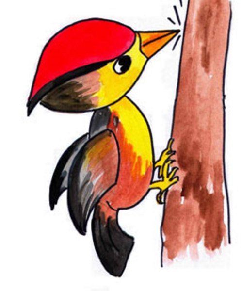 Дятел рисунок