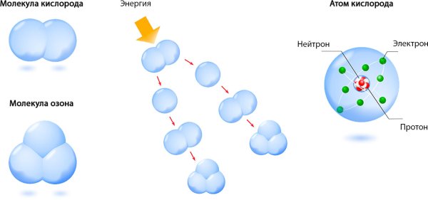 Молекула водорода н2